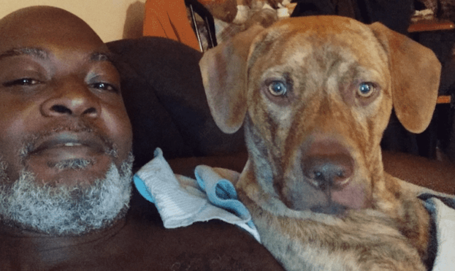 Homeless Man Chooses His Dog Over Housing and Much-Needed Surgery