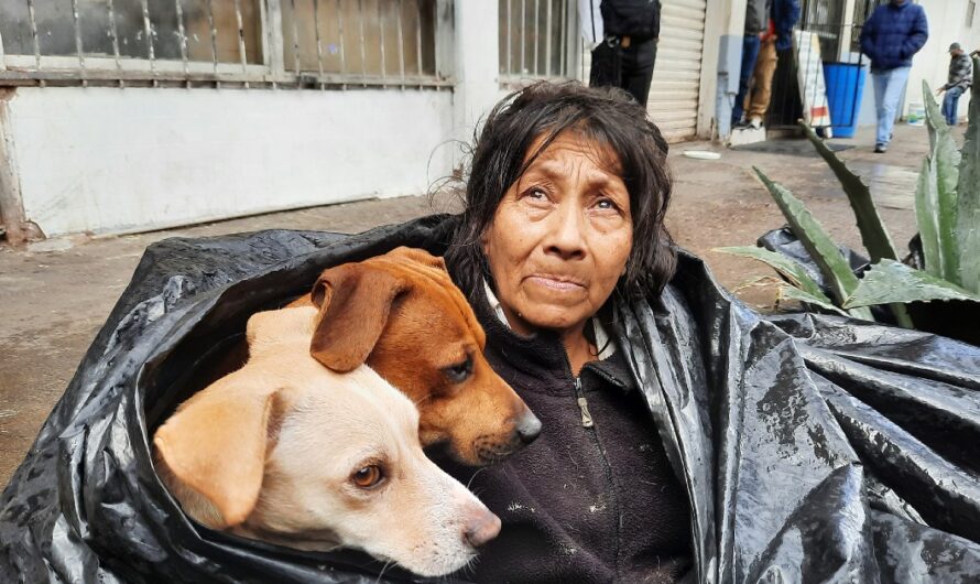 Police Urge Homeless Woman To Go To Shelter, But She Refuses Because Shelter Isn’t Pet-Friendly