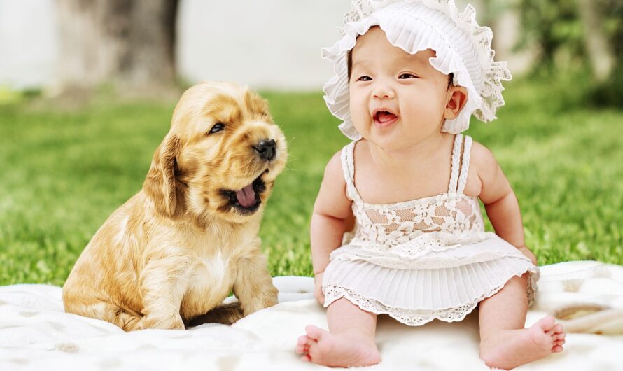 Best Dog Breeds for Babies