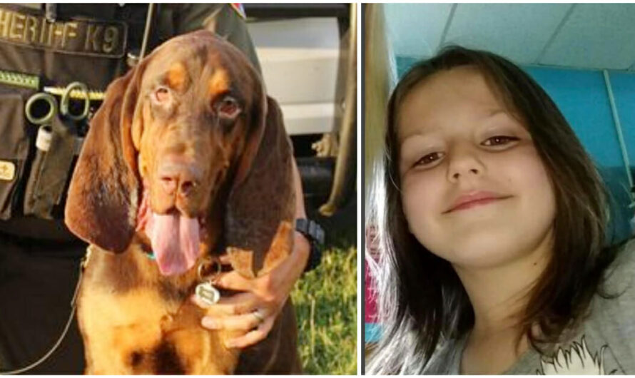 K9 Bloodhound Finds Abducted 6-Year-Old Girl By Tracking Scent