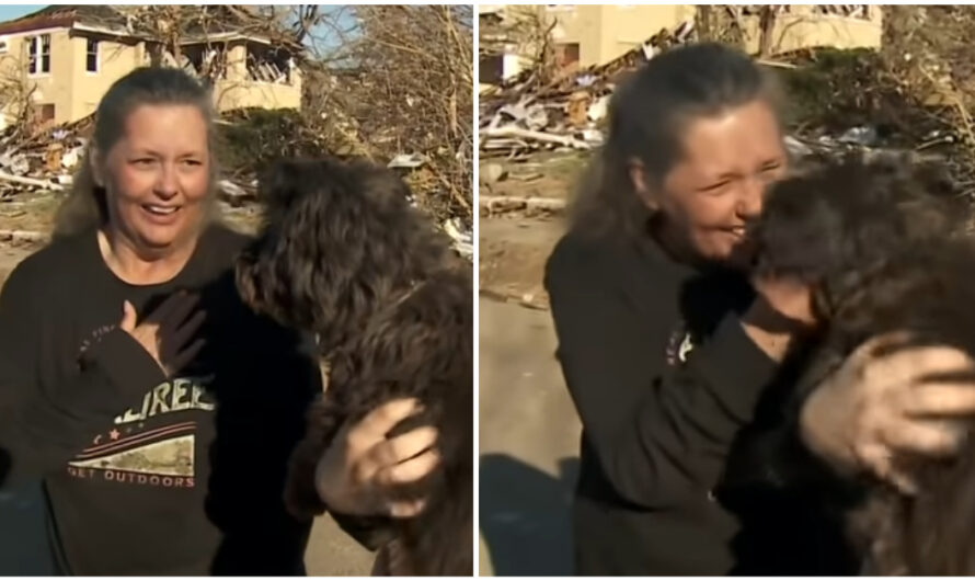 Kentucky Tornado Survivor Finds Hope After Finding Out Her Pet Dog Is Still Alive