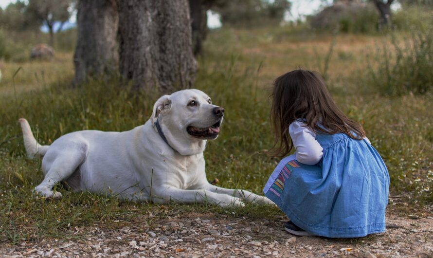 Best Friends PAW-rever: 5 Kid-Friendly Dog Breeds Your Family Will Love