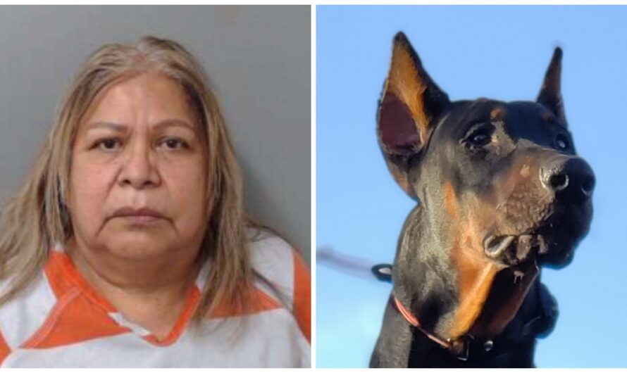 Officers Find Two Severely Emaciated Dogs On Repeat Visit To Woman’s Home