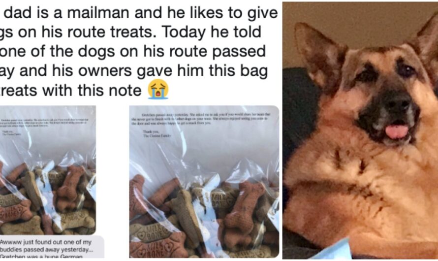 Mailman Befriends Shy Dog On Route, Left Heartbroken When Owners Give Him A “Sweet Note” From His Special Friend