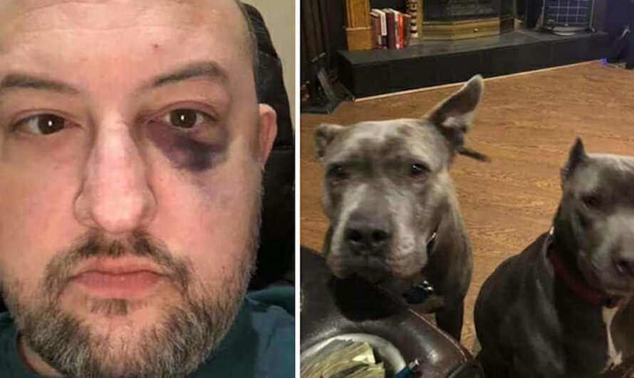 Man Adopted Two Abandoned Pit Bulls — They Repaid Him By Saving His Life