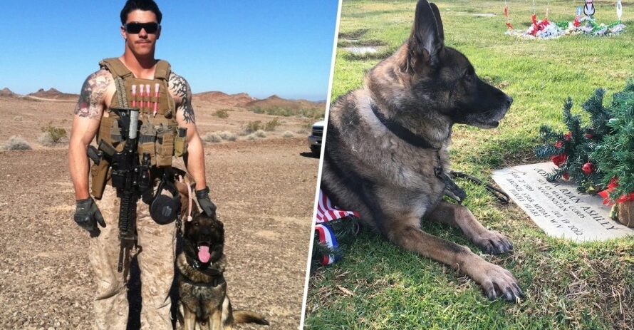 Mom Adopts Military Service Dog Of Marine Son Killed In Action