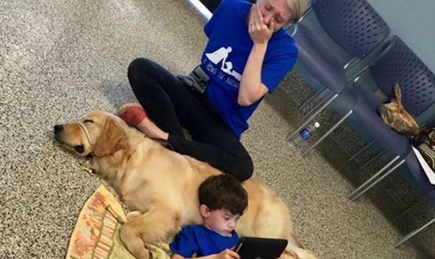 Mom Breaks Down In Tears When Son with Autism Meets Service Dog