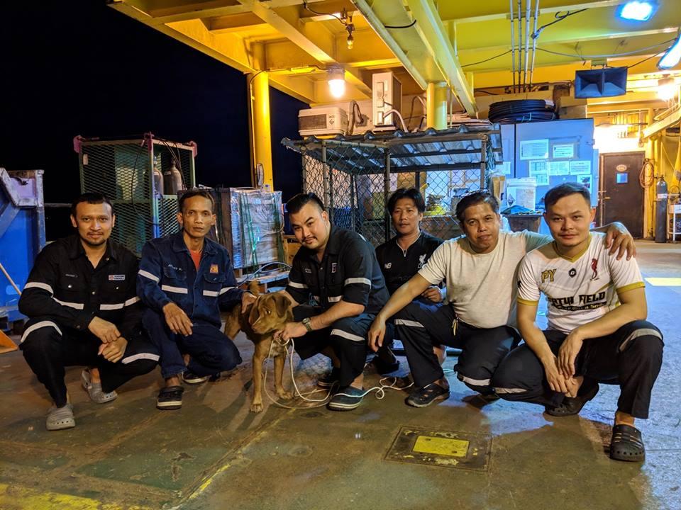 oil rig workers rescue lost dog