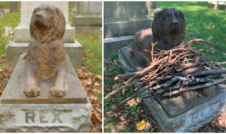 People are Leaving Sticks at this Grave of a Dog Who Died 100 Years Ago