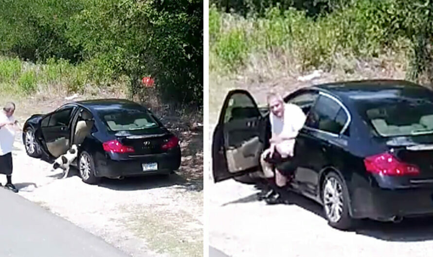 Man dumps dog and drives off, doesn’t realize a camera is recording his actions