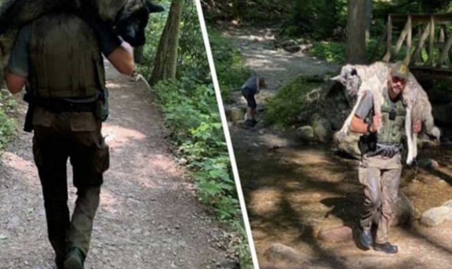 Ranger Carries Exhausted 100 Lb German Shepherd On His Shoulders To Save His Life