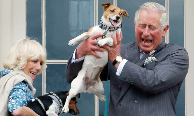 royal dog owners duke and duchess of cornwall