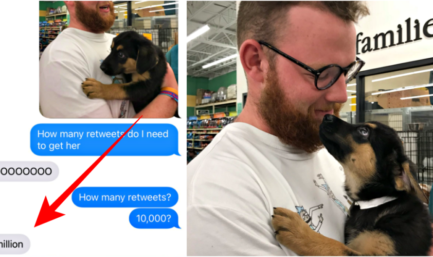 Mom Tells Son They Can Only Adopt Puppy If A Million People Convince Her She Should