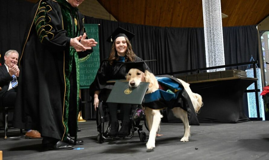 Service Dog Gets Honorary Diploma For Helping His Owner Get Through Grad School