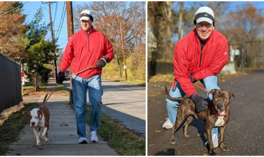 Shelter Volunteer Walks 50 Dogs On His 50th Birthday To Raise Money For His Furry Friends