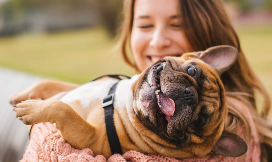 Mother attacks animal lovers, says the term fur babies is “an insult to moms”