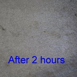 Same reviewer's carpet after two hours, showing that the stains have significantly lightened