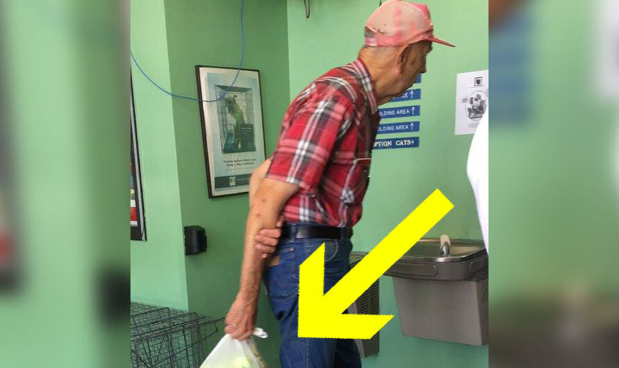 Old man brings bag to animal shelter, when she sees what’s inside, her tears flow