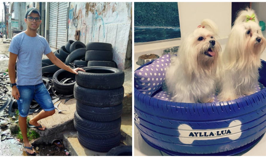 Man Converts Tires In Trash To Cozy Dog Beds – Upcycling Helps Thousands