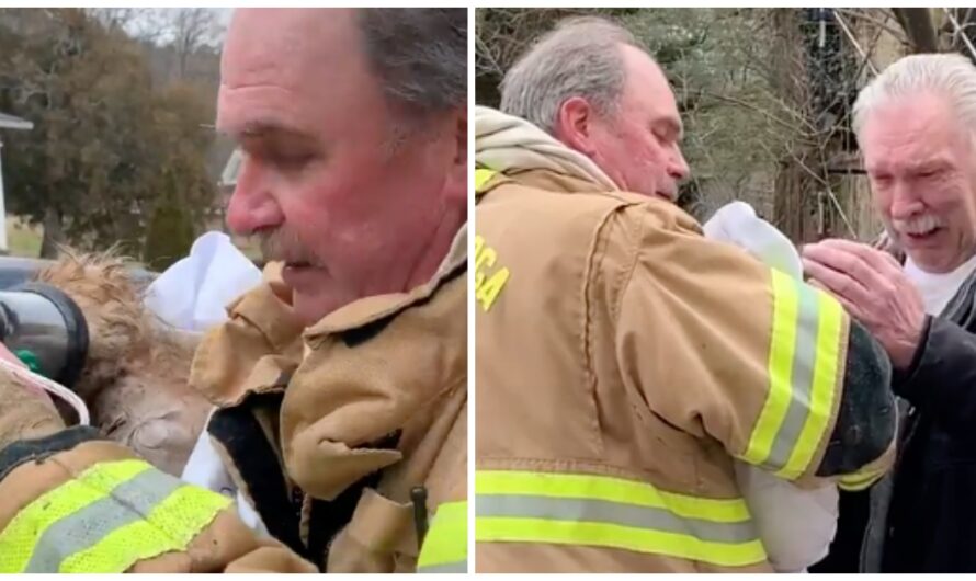 Family Loses Belongings & Pets In House Fire But Hero Offers Glimmer Of Hope