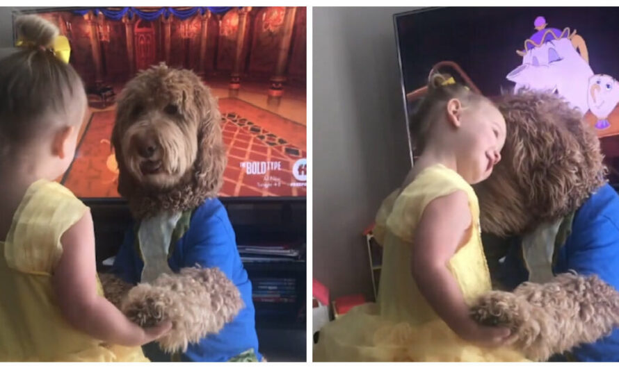 Little Girl And Her Dog Adorably Recreate Scene From ‘Beauty And The Beast’