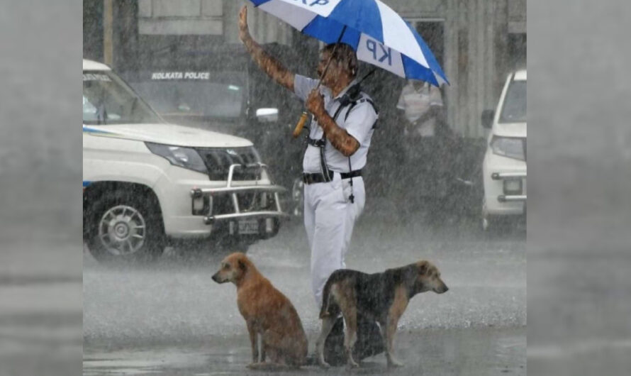 Officer Goes Viral for Sharing his Umbrella with Stray Dogs During Heavy Rain