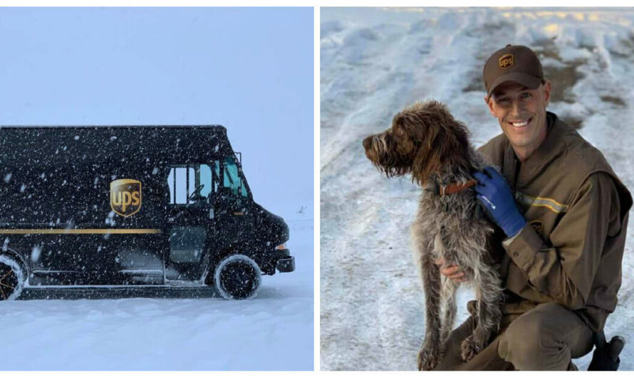 UPS Driver Stops His Deliveries To Save A Dog Drowning In Icy Cold Waters