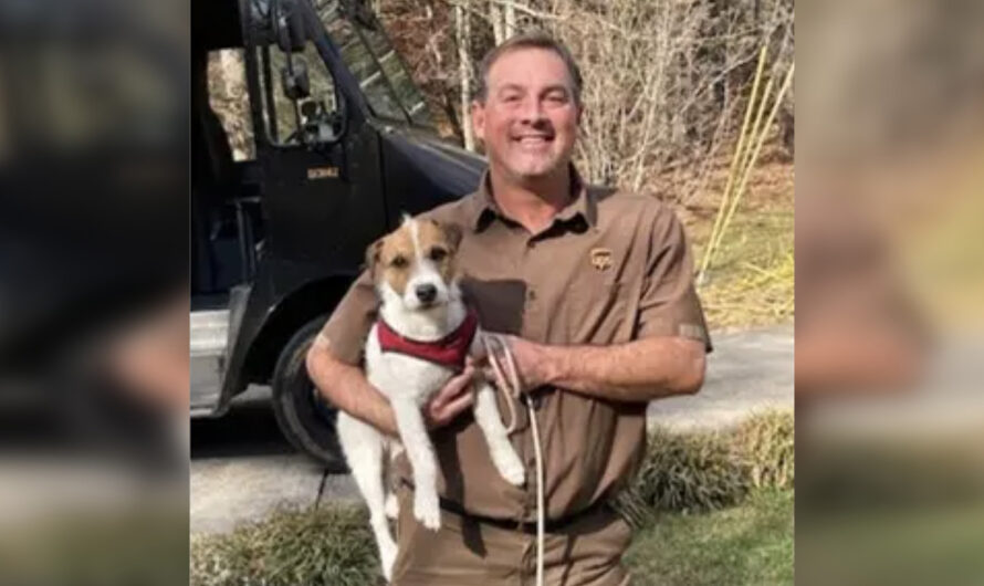 UPS Driver Finds Woman’s Missing Dog And Delivers Him Back Home