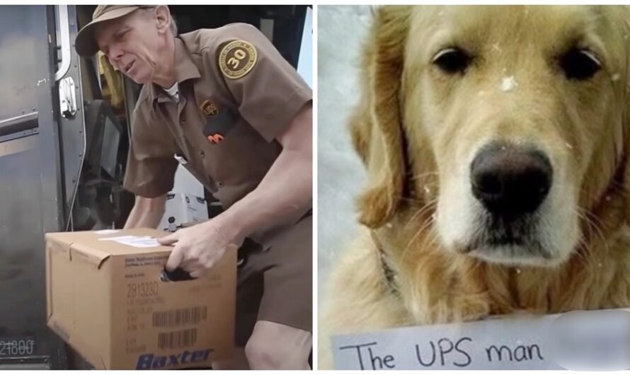 UPS Driver Hears Loud Thump & Sees A Loose Dog With A Note Tied Around His Neck