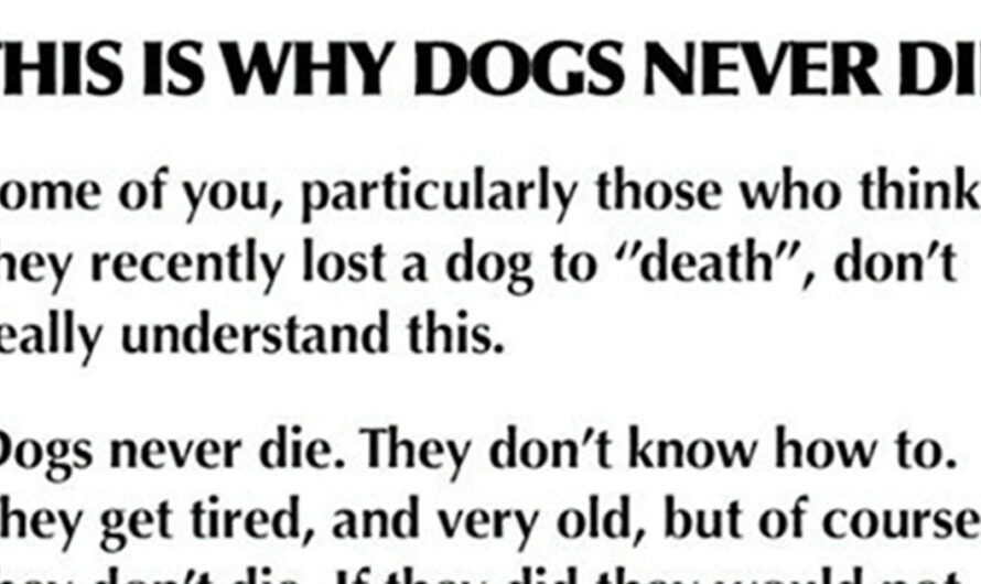 We Were Wrong All Along — This Is Why Dogs Never Actually Die