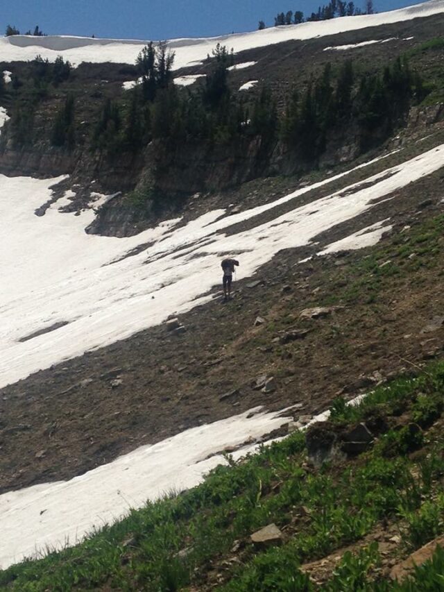 woman saves 55 pound injured dog and carries him on her shoulders down a mountain for 6 hours 03