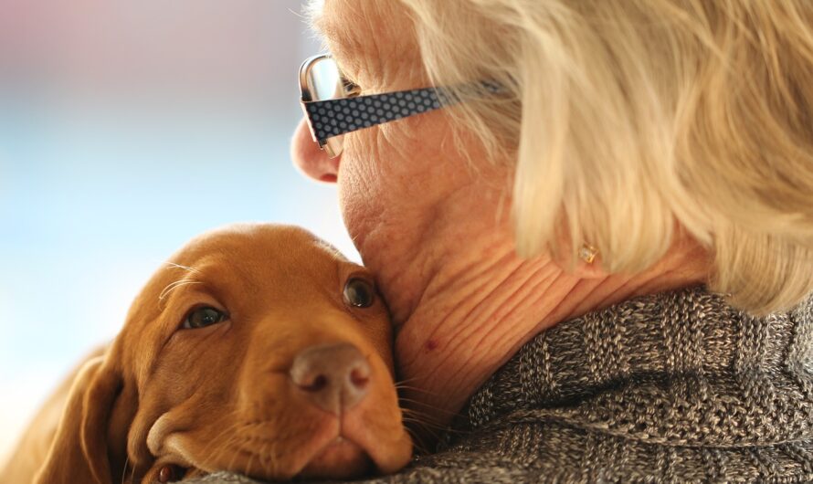 10 Best Dogs for Seniors